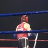 Чемпіонат України з тайського боксу в Києві: бійці змагаються за місце у збірній