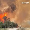 Ізраїль охопили масштабні пожежі: хто підпалив країну