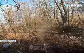 рф штурмує попри "перемир’я": останні новини з фронту