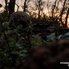 У Багатирі, куди зайшли росіяни, складається "несприятлива обстановка" - Deep State
