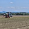 Посівна-2025: скільки посіяли аграрії і яким буде врожай