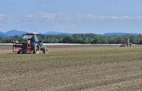 Посівна-2025: скільки посіяли аграрії, і яким буде врожай