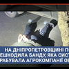 На Дніпропетровщині поліція знешкодила банду, яка системно грабувала агрокомпанії області