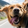 Google представила перший генератор відео зі звуком Veo 3
