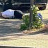 Діяли професіонали: з'явилися нові деталі про вбивство Портнова