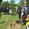 Форум національних меншин та корінних народів: у Києві висадили дерева єдності