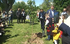 Форум національних меншин та корінних народів: у Києві висадили дерева єдності