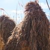 На Донеччині посилюються бої: росіяни штурмують, українські захисники стримують тиск