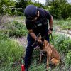 На Харківщині співробітнику ТЦК відірвало руку вибухом