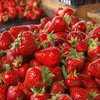 Чи безпечно їсти ранні фрукти й овочі: лабораторні результати вас здивують