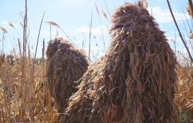 На Донеччині посилюються бої: росіяни штурмують, українські захисники стримують тиск