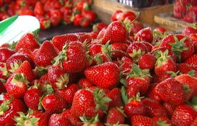 Чи безпечно їсти ранні фрукти й овочі: лабораторні результати вас здивують