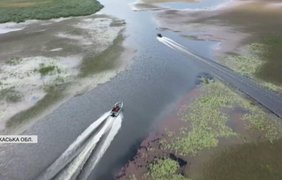 Загроза для екосистеми водойм: чим небезпечний водяний горіх 