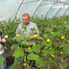 7 млн гранту на теплиці: як ветерани будують агробізнес