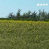 Між лініями оборони: як фермер відновлює господарство на Херсонщині