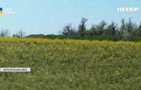 Між лініями оборони: як фермер відновлює господарство на Херсонщині