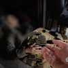 Із Покровська врятували літню жінку, яка пролежала без їжі 10 днів
