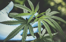 Як CBD впливає на стрес, сон і тривожність