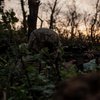 Ситуація біля Липців на Харківщині залишається напруженою — військовий