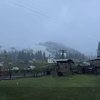 На Буковині випав сніг (фото)