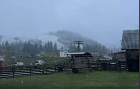 На Буковині випав сніг (фото)