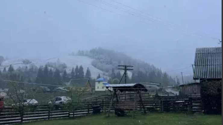 Фото: Валерій Полянчук/Facebook