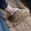 ЄС з 1 липня запроваджує мита на агропродукцію та добрива з рф та Білорусі