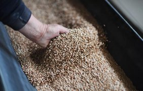 ЄС з 1 липня запроваджує мита на агропродукцію та добрива з рф та Білорусі