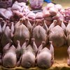 Вчені назвали курятину назвали потенційним канцерогеном, але є нюанс
