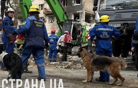 У Києві з-під завалів дістали двох живих людей, працюють собаки з кінологами 