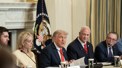 Саміт НАТО у Гаазі організують під забаганки Трампа — The Times