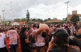 Фестиваль Gran Tomatina