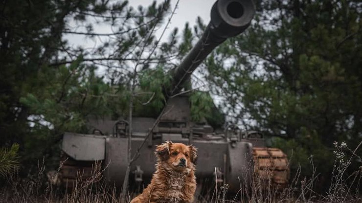 ЗСУ тримають оборону