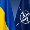 НАТО скасувало засідання щодо України на саміті в Гаазі - Politico