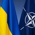 НАТО скасувало засідання щодо України на саміті в Гаазі - Politico