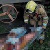 Небезпечна гра: 13-річний хлопець виліз на вагон і опинився в реанімації
