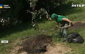 У Києві облаштували Сквер пам'яті загиблих медійників