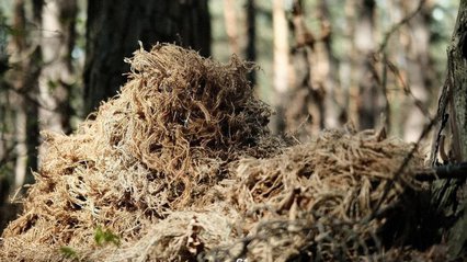 Удар по полігону ЗСУ: рф застосувала ракету Іскандер-М