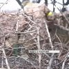 Здолати страх і витягнути зі стресу: як готують військових психологів