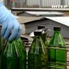 Дизель під контролем: як обрати якісне пальне і не переплатити