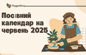 Посівний календар на червень 2025 року: сприятливі та несприятливі дні для городників