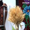 На Буковині вперше провели етносвято "Гердан – оберіг нації"