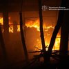 У Запоріжжі 4 "шахеди" вдарили по підприємству, вирувала пожежа, пошкоджені будинки