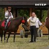 Відроджують легенду: у Карпатах відкрили Центр гуцульського коня