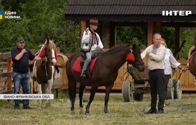 Відроджують легенду: у Карпатах відкрили Центр гуцульського коня