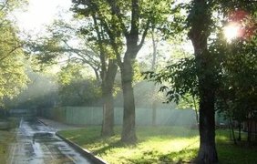 Прогноз на 12 липня: погода в Україні різко зміниться