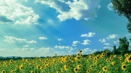 Яке сьогодні, 13 липня, свято — все про цей день