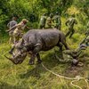 Ці фото природи шокували журі: один кадр коштує $5000