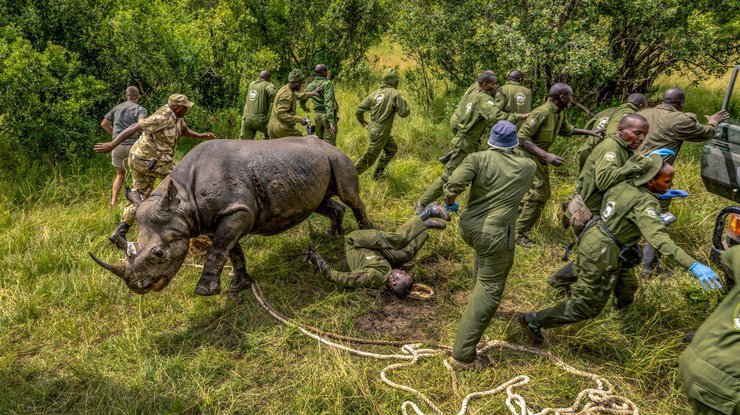 Фото: big picture competition