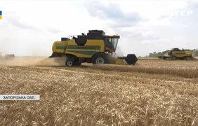 Жнива палають: як на Запоріжжі збирають врожай під снарядами